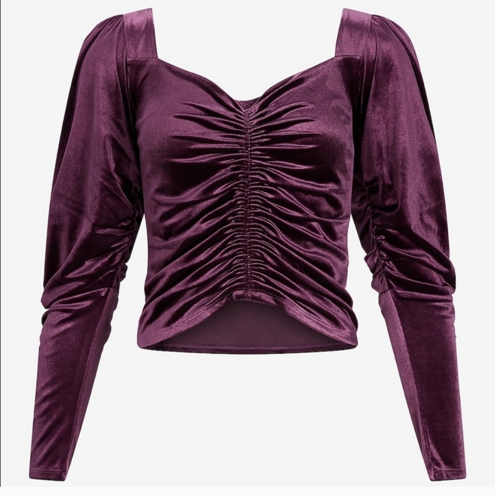 EXPRESS Purple Velvet Rouched Top